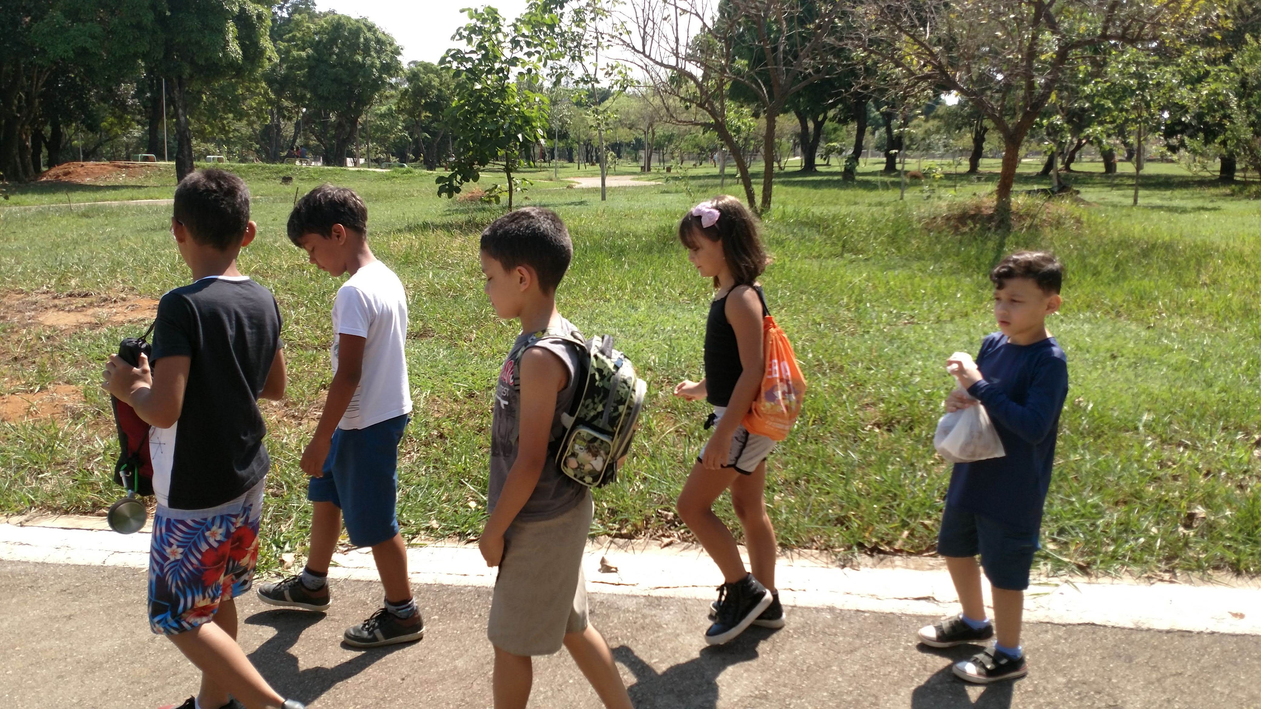 Instrução de Abrigos